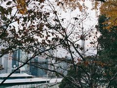 -上海港国际客运中心1号游艇码头