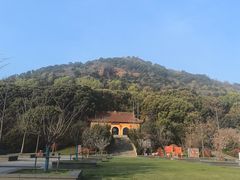 -桃花岛景观公园