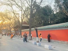 -北京国子监胡同