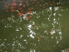 -北京市海淀外国语实验学校