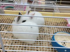-乐宠宠物店(世纪金源店)