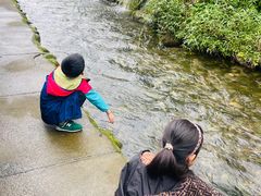 -源泉冷水鱼庄(小鱼洞店)