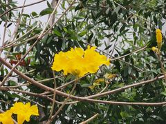 -人民公园(罗湖区)