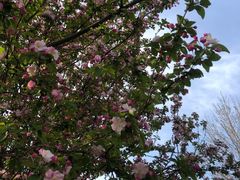 -1973继光香香鸡(合生汇购物中心店)