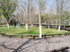 -渭河城市绿地运动公园