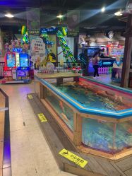 点击看大图 -卡通尼·Safari非洲探索乐园·生日会(金桥国际商业广场店)