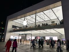 -Apple零售店(成都太古里店)