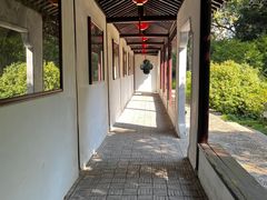 -上海醉白池公园