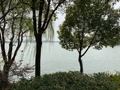 -金鸡湖桃花岛