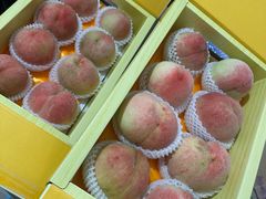 -南汇水蜜桃采摘(大团店)