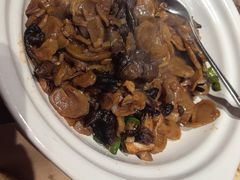 -鸽子窝(黄村店)