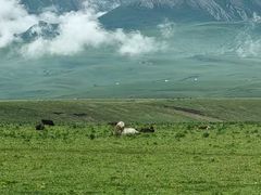 -新疆那拉提国家旅游度假区