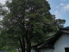 -井冈山风景名胜区