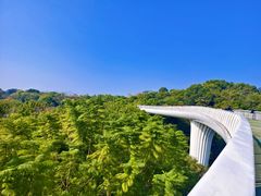-飞凤山奥体公园