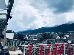 -喵屿·大理花园猫咖