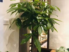 -Lotus 莲花空间(国贸商城店)