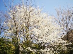 -贵阳市花溪国家城市湿地公园