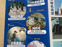 -大连圣亚海洋世界