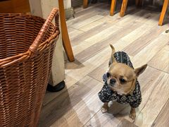 -滋味厨房小酒馆(万达广场店)