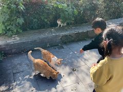 -句容茅山景区