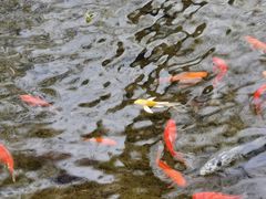 -水磨沟公园