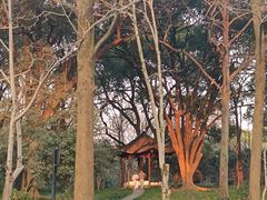 -西湖风景区十里琅珰-五云山