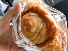 -祝好吃韭菜盒