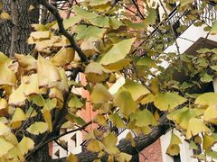 -长沙市青少年宫