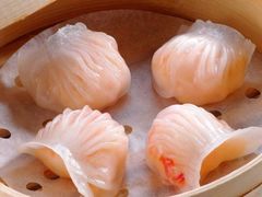 京粤荟虾饺皇-京粤荟(海王银河科技大厦店)