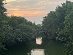 -乌镇景区