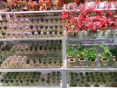 -KKV(深圳宏发大仟里店)