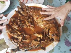 炖鱼-金台阶鱼馆(于桥水库店)