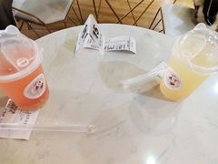 -Husky Go! 哈士奇体验馆·宠物咖啡厅狗咖