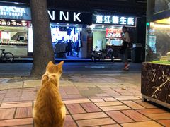 -顺记冰室(宝华路店)