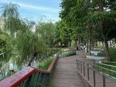 -四海公园(南山区)