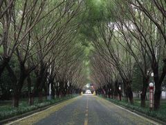 -沙澧河风景区