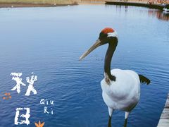 -黑龙江扎龙生态旅游区