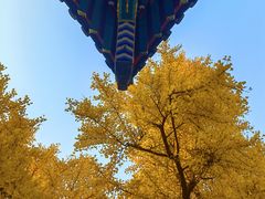 -承恩寺