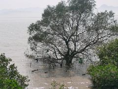 -深圳湾公园(南山区)