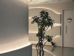 -小仙女采耳·按摩·SPA(深圳旗舰店)