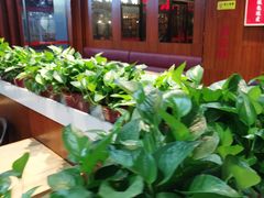 -多福饺·家常菜(谷德店)