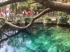 -蝴蝶泉公园