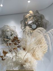 -YESIDO椰岛美容
