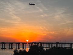 -宝安西湾红树林湿地公园