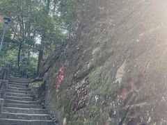 -缙云山景区