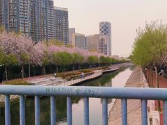 -海棠花溪(元大都城垣遗址公园)