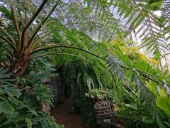 -国家植物园南园