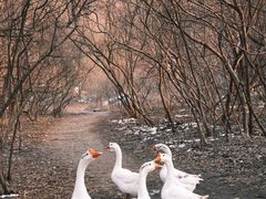 -南山风景名胜区