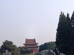 -清东陵