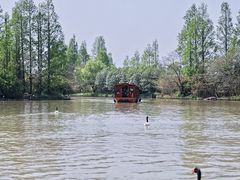 -上海野生动物园